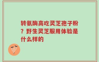 转氨酶高吃灵芝孢子粉？野生灵芝服用体验是什么样的