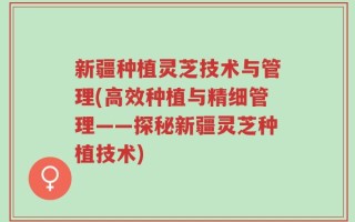 新疆种植灵芝技术与管理(高效种植与精细管理——探秘新疆灵芝种植技术)