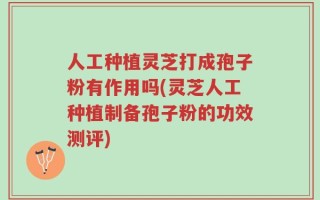 人工种植灵芝打成孢子粉有作用吗(灵芝人工种植制备孢子粉的功效测评)