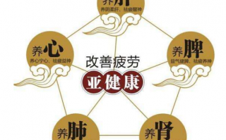 灵芝孢子粉增加免疫力吗？免疫力低可以吃灵芝孢子粉吗？