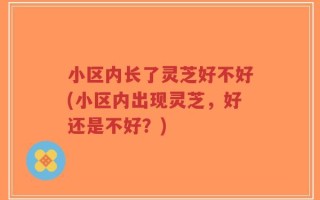 小区内长了灵芝好不好(小区内出现灵芝，好还是不好？)