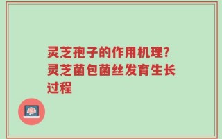 灵芝孢子的作用机理？灵芝菌包菌丝发育生长过程