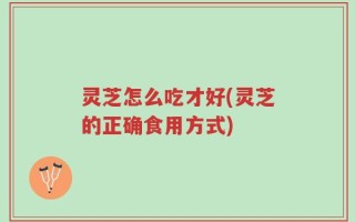 灵芝怎么吃才好(灵芝的正确食用方式)