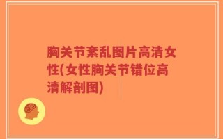 胸关节紊乱图片高清女性(女性胸关节错位高清解剖图)