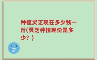 种植灵芝现在多少钱一斤(灵芝种植现价是多少？)