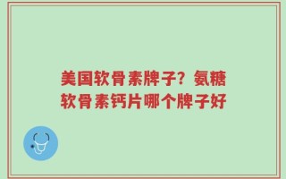 美国软骨素牌子？氨糖软骨素钙片哪个牌子好