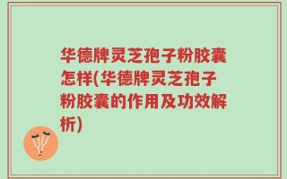 华德牌灵芝孢子粉胶囊怎样(华德牌灵芝孢子粉胶囊的作用及功效解析)