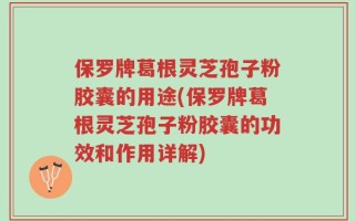 保罗牌葛根灵芝孢子粉胶囊的用途(保罗牌葛根灵芝孢子粉胶囊的功效和作用详解)