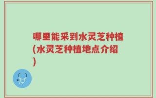 哪里能采到水灵芝种植(水灵芝种植地点介绍)