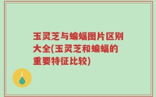 玉灵芝与蝙蝠图片区别大全(玉灵芝和蝙蝠的重要特征比较)