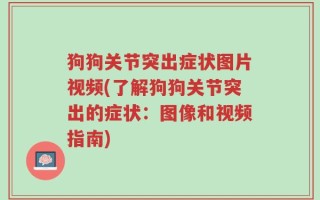 狗狗关节突出症状图片视频(了解狗狗关节突出的症状：图像和视频指南)