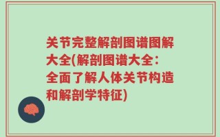 关节完整解剖图谱图解大全(解剖图谱大全：全面了解人体关节构造和解剖学特征)