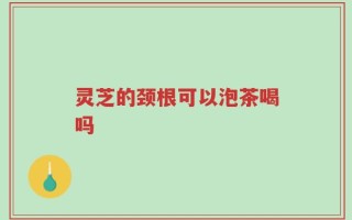 灵芝的颈根可以泡茶喝吗
