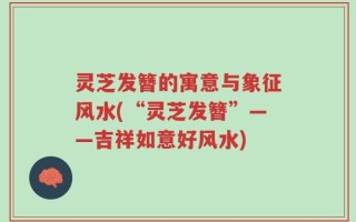 灵芝发簪的寓意与象征风水(“灵芝发簪”——吉祥如意好风水)