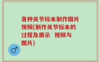 各种关节标本制作图片视频(制作关节标本的过程及展示  视频与图片)