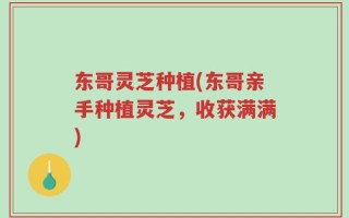 东哥灵芝种植(东哥亲手种植灵芝，收获满满)