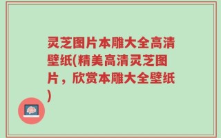 灵芝图片本雕大全高清壁纸(精美高清灵芝图片，欣赏本雕大全壁纸)