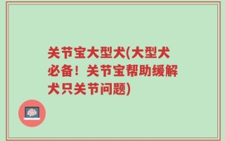 关节宝大型犬(大型犬必备！关节宝帮助缓解犬只关节问题)