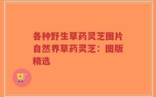 各种野生草药灵芝图片自然界草药灵芝：图版精选