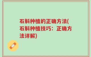 石斛种植的正确方法(石斛种植技巧：正确方法详解)