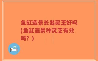 鱼缸造景长出灵芝好吗(鱼缸造景种灵芝有效吗？)