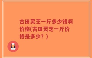 古田灵芝一斤多少钱啊价格(古田灵芝一斤价格是多少？)