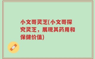 小文哥灵芝(小文哥探究灵芝，展现其药用和保健价值)