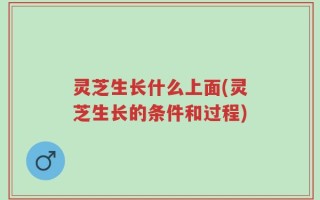 灵芝生长什么上面(灵芝生长的条件和过程)