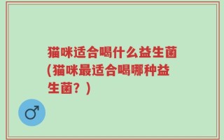 猫咪适合喝什么益生菌(猫咪最适合喝哪种益生菌？)