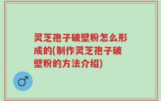 灵芝孢子破壁粉怎么形成的(制作灵芝孢子破壁粉的方法介绍)
