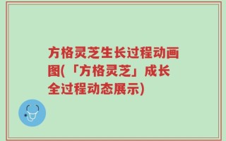 方格灵芝生长过程动画图(「方格灵芝」成长全过程动态展示)