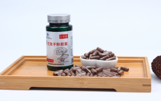 灵芝孢子粉有效成分受哪些因素影响？