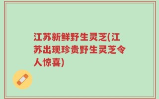 江苏新鲜野生灵芝(江苏出现珍贵野生灵芝令人惊喜)
