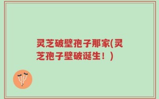 灵芝破壁孢子那家(灵芝孢子壁破诞生！)