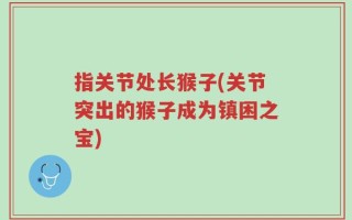 指关节处长猴子(关节突出的猴子成为镇困之宝)