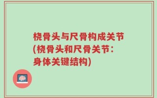 桡骨头与尺骨构成关节(桡骨头和尺骨关节：身体关键结构)