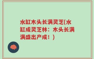 水缸木头长满灵芝(水缸成灵芝林：木头长满满盛出产成！)