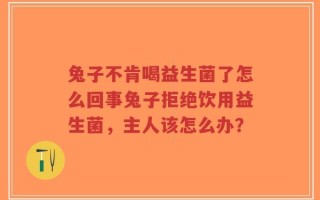 兔子不肯喝益生菌了怎么回事兔子拒绝饮用益生菌，主人该怎么办？