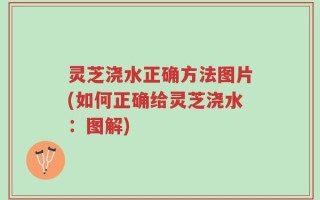 灵芝浇水正确方法图片(如何正确给灵芝浇水：图解)