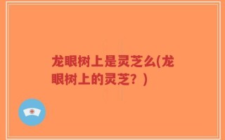 龙眼树上是灵芝么(龙眼树上的灵芝？)