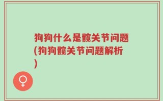 狗狗什么是髋关节问题(狗狗髋关节问题解析)