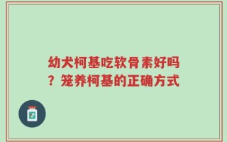 幼犬柯基吃软骨素好吗？笼养柯基的正确方式