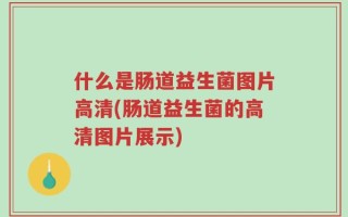 什么是肠道益生菌图片高清(肠道益生菌的高清图片展示)