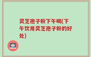 灵芝孢子粉下午喝(下午饮用灵芝孢子粉的好处)