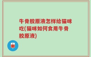 牛骨胶原液怎样给猫咪吃(猫咪如何食用牛骨胶原液)
