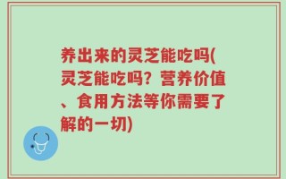 养出来的灵芝能吃吗(灵芝能吃吗？营养价值、食用方法等你需要了解的一切)