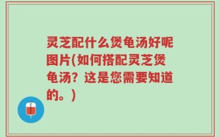 灵芝配什么煲龟汤好呢图片(如何搭配灵芝煲龟汤？这是您需要知道的。)