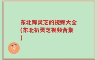 东北踩灵芝的视频大全(东北扒灵芝视频合集)