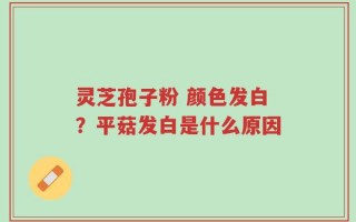 灵芝孢子粉 颜色发白？平菇发白是什么原因