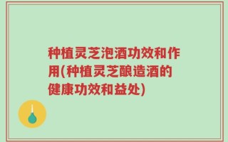 种植灵芝泡酒功效和作用(种植灵芝酿造酒的健康功效和益处)